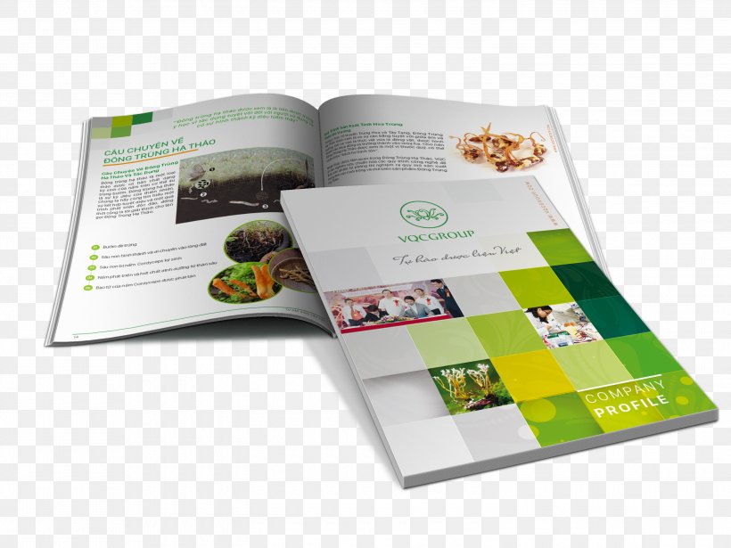 Trademark Brochure Service, PNG, 3000x2250px, Trademark, Brand, Brochure, Business, Creativity Download Free