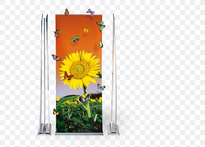 Advertising Web Banner Vendor Display Stand Service, PNG, 555x588px, Advertising, Daisy Family, Display Stand, Flower, Flowering Plant Download Free