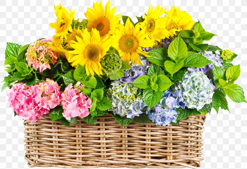 Basket Desktop Wallpaper Flower Hydrangea Wicker, PNG, 1683x1155px, Basket, Annual Plant, Artificial Flower, Bouquet, Chrysanths Download Free