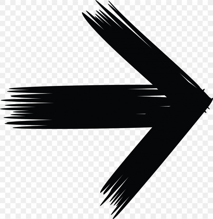 Brush Arrow, PNG, 2923x3000px, Brush Arrow, Blackandwhite, Eyelash, Line, Logo Download Free