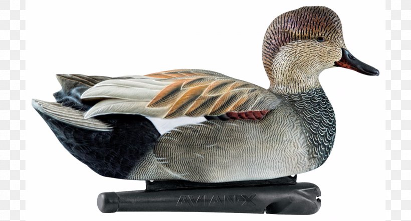 Duck Decoy Goose Gadwall Chard, PNG, 1280x691px, Duck, Attitude, Beak, Bird, Chard Download Free