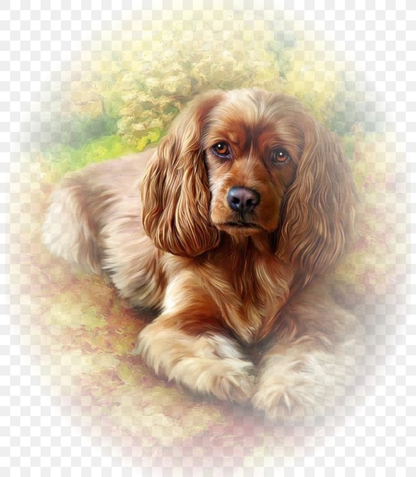 English Cocker Spaniel Paint By Number Painting Drawing Cavalier King Charles Spaniel, PNG, 800x940px, English Cocker Spaniel, American Cocker Spaniel, Art, Canvas, Carnivoran Download Free