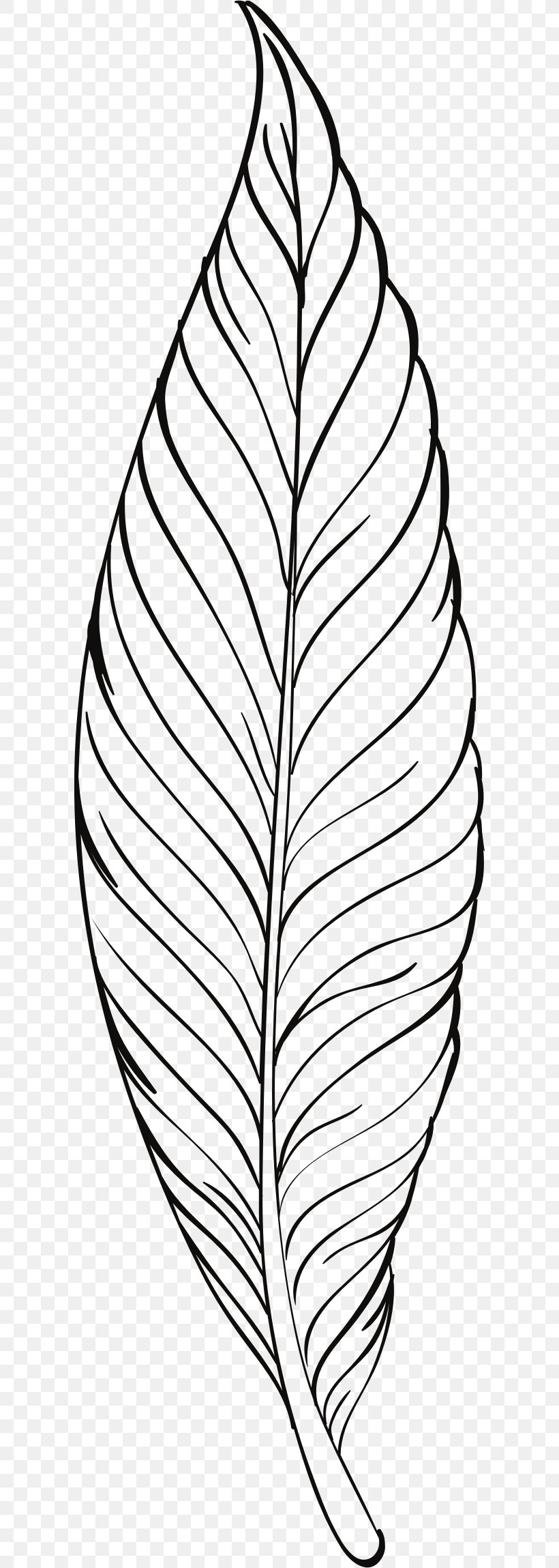 Lovebird Feather Drawing Clip Art, PNG, 604x2298px, Bird, Area, Black And White, Drawing, Feather Download Free