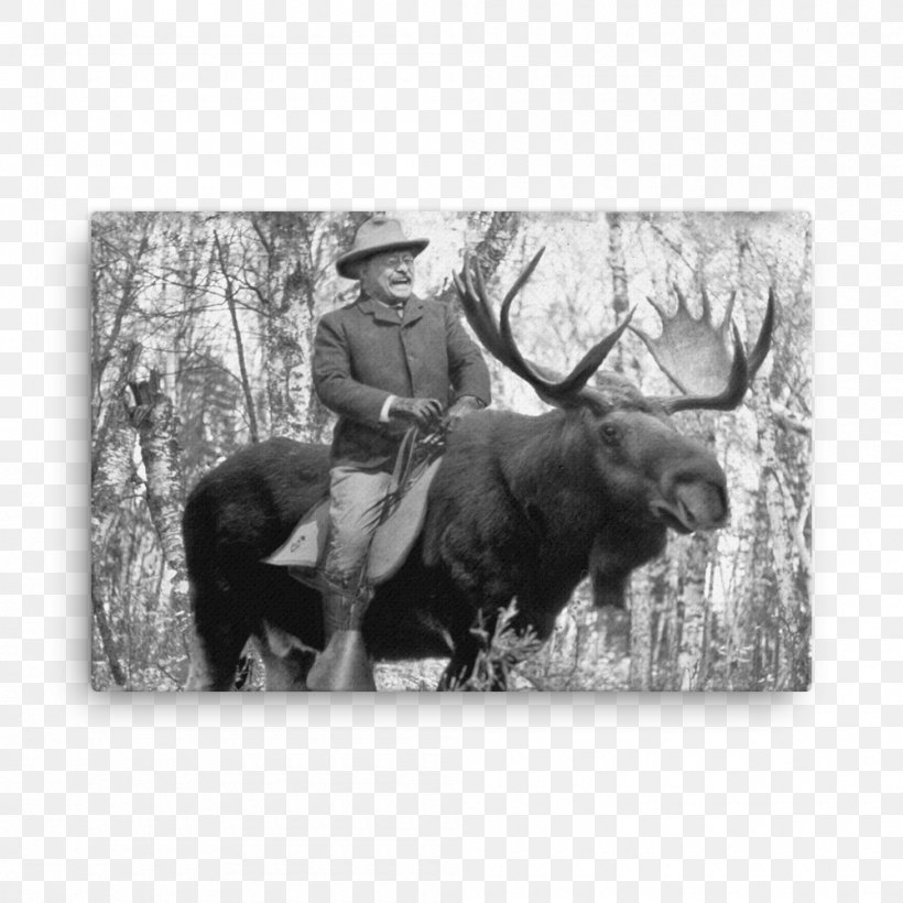 Moose Progressive Party T-shirt Deer Hunting, PNG, 1000x1000px, Moose, Antler, Black And White, Cattle Like Mammal, Cowboy Download Free