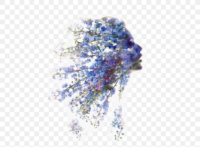 Multiple Exposure Portrait Photography, PNG, 461x604px, Multiple Exposure, Art, Blue, Exposure, Flower Download Free