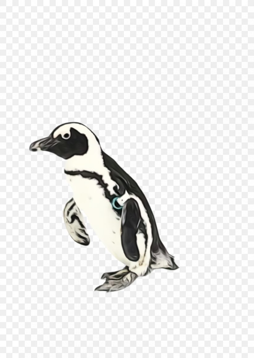 Penguin, PNG, 842x1188px, Watercolor, Animal Figure, Beak, Bird, Emperor Penguin Download Free
