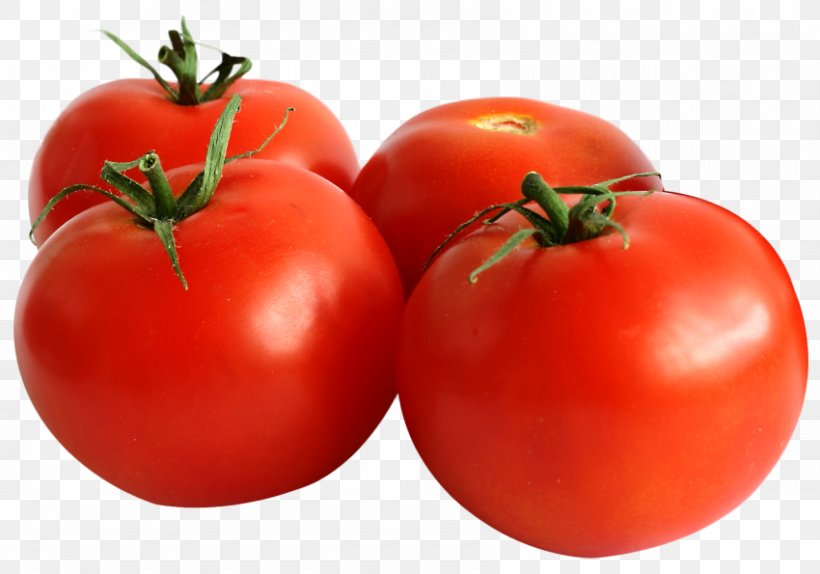 Cherry Tomato Vegetable Lycopersicon Solanoideae, PNG, 850x595px, Cherry Tomato, Bush Tomato, Diet Food, Eggplant, Food Download Free