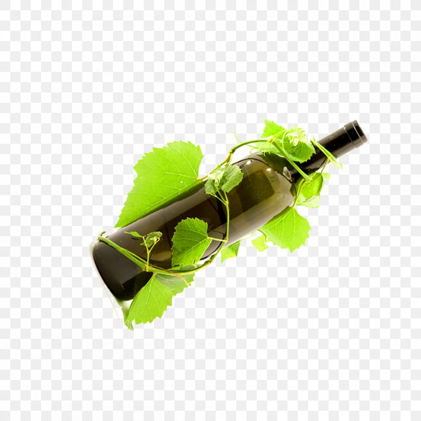 Wine Leaf Green, PNG, 1000x1000px, Wine, Grass, Green, Leaf, Plant Download Free