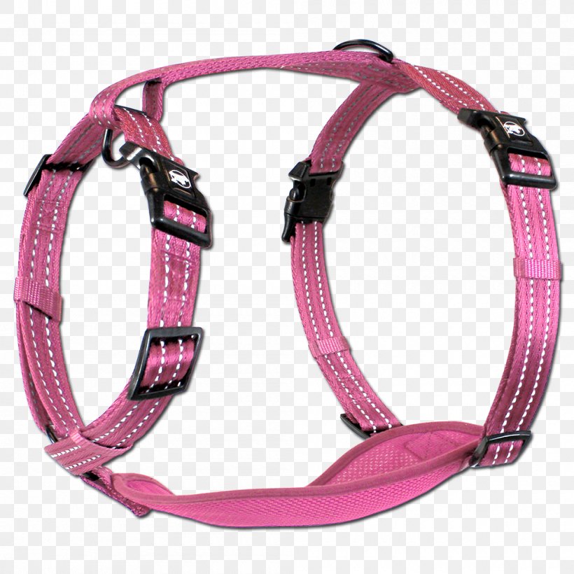 Dog Harness Leash Horse Harnesses Horse Tack, PNG, 1000x1000px, Dog, Alcott, Blue, Collar, Dog Collar Download Free