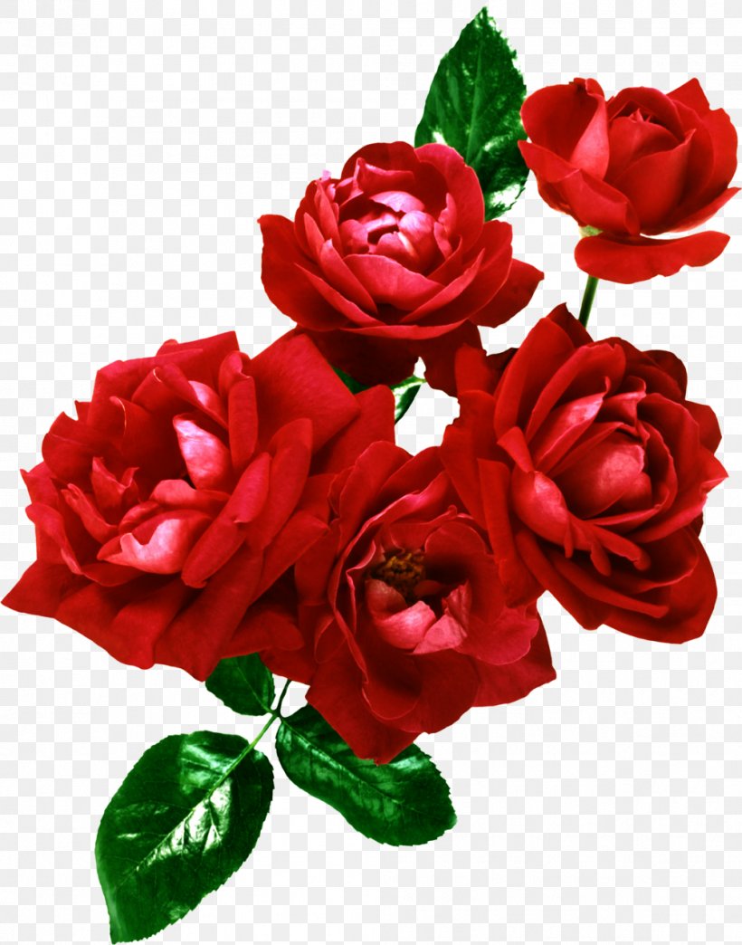 Flower Bouquet Garden Roses Cut Flowers Floral Design, PNG, 1005x1280px, Flower, Annual Plant, Artificial Flower, China Rose, Color Download Free