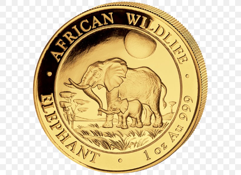 Gold Coin Gold Coin Perth Mint Bullion Coin, PNG, 600x597px, Coin, Bullion Coin, Currency, Elephant, Elephantidae Download Free