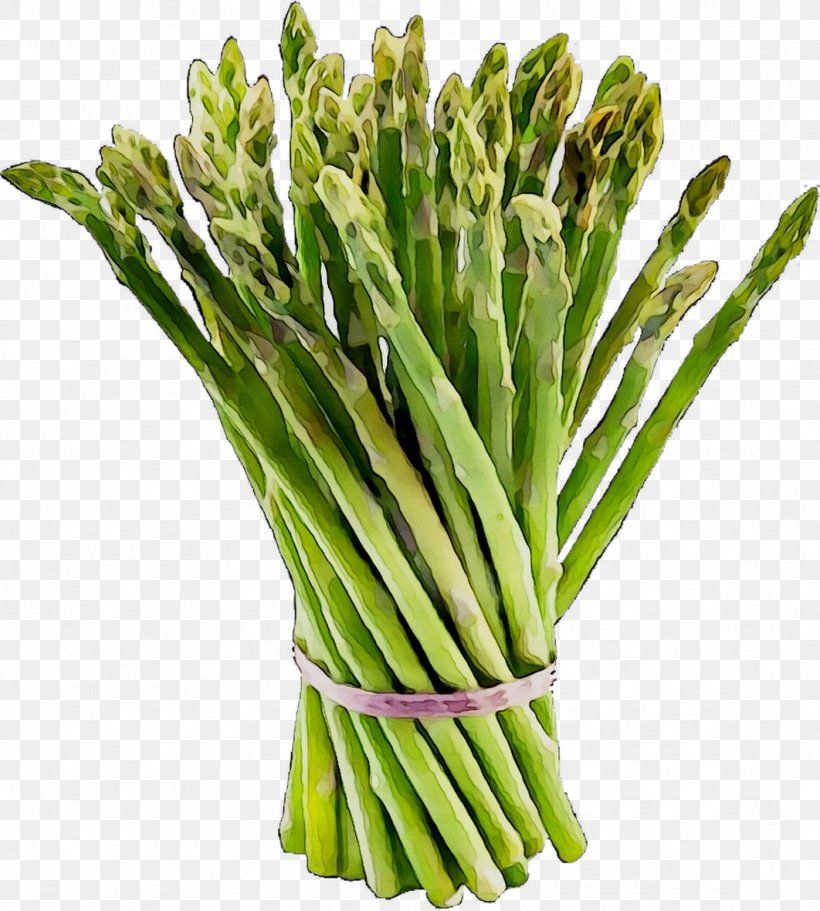 Asparagus Valle Del Carrizo Infographic Vegetable, PNG, 1062x1180px, 2018, Asparagus, Commodity, Export, Flower Download Free