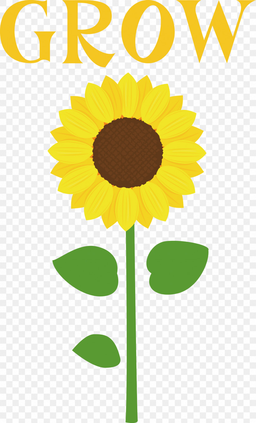 GROW Flower, PNG, 1816x3000px, Grow, Clothing, Code, Dress, Dress Code Download Free