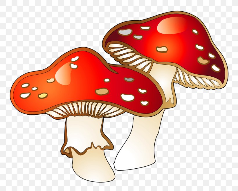 Mushroom Fungus Clip Art, PNG, 800x658px, Watercolor, Cartoon, Flower, Frame, Heart Download Free