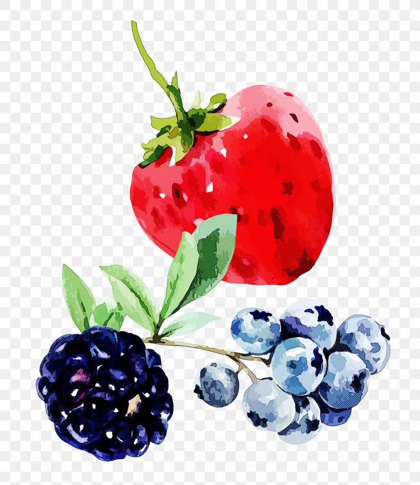 Strawberry, PNG, 1468x1695px, Superfood, Berry, Bilberry, Blackberry Limited, Fruit Download Free