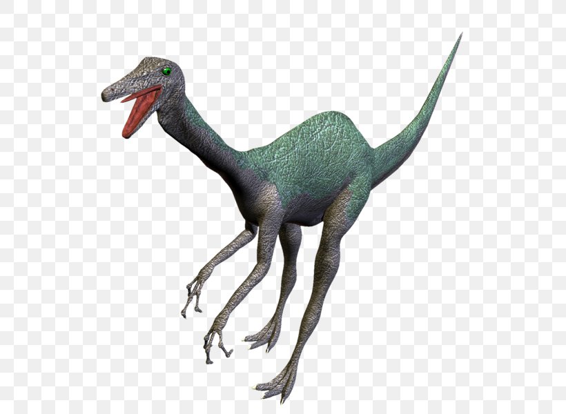 Velociraptor Dinosaur PhotoScape Clip Art, PNG, 800x600px, Velociraptor, Animal, Animal Figure, Beak, Dinosaur Download Free