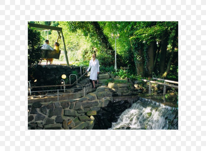 Water Resources Nature Reserve Pond Water Feature Backyard, PNG, 600x600px, Water Resources, Backyard, Grass, Landscape, Landscaping Download Free