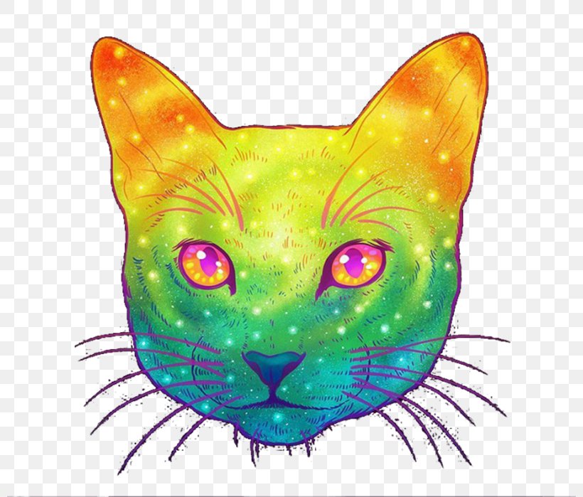 Cat Kitten Illustrator Felidae, PNG, 800x699px, Watercolor, Cartoon, Flower, Frame, Heart Download Free