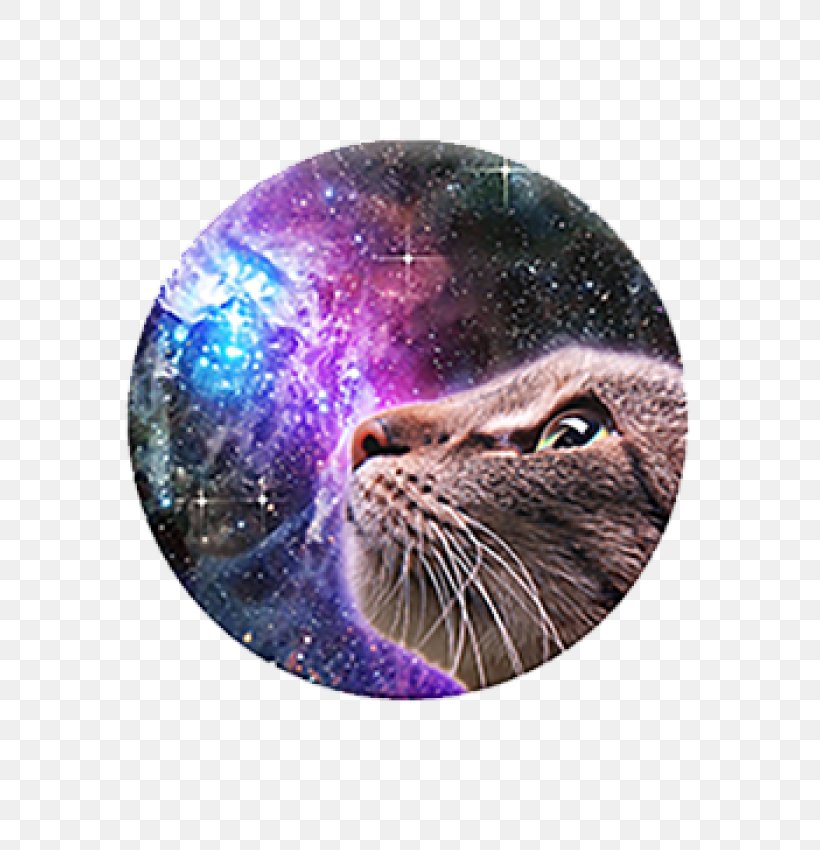 CatStronauts: Mission Moon PopSockets Grip Stand IPhone 4, PNG, 700x850px, Cat, Animal, Cat Like Mammal, Handheld Devices, Iphone Download Free