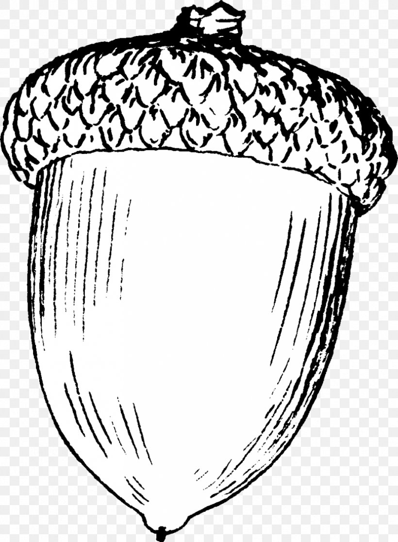 Drawing Acorn Line Art Clip Art, PNG, 830x1130px, Drawing, Acorn, Artwork, Black And White, Food Download Free