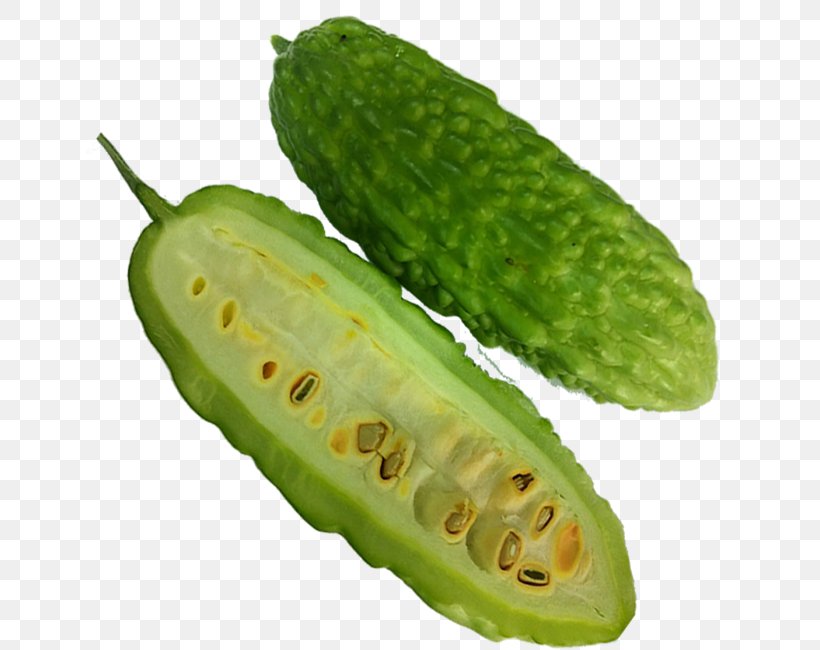 Plant Scarlet Gourd Momordica Charantia Food Cucumis, PNG, 650x650px, Plant, Caigua, Cucumber, Cucumis, Food Download Free