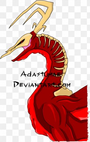 Bird - Beak Water Bird Clip Art PNG
