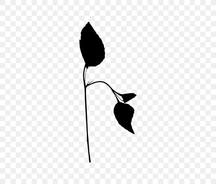 Black Plant Stem Leaf Clip Art Silhouette, PNG, 494x700px, Black, Black M, Blackandwhite, Botany, Bud Download Free