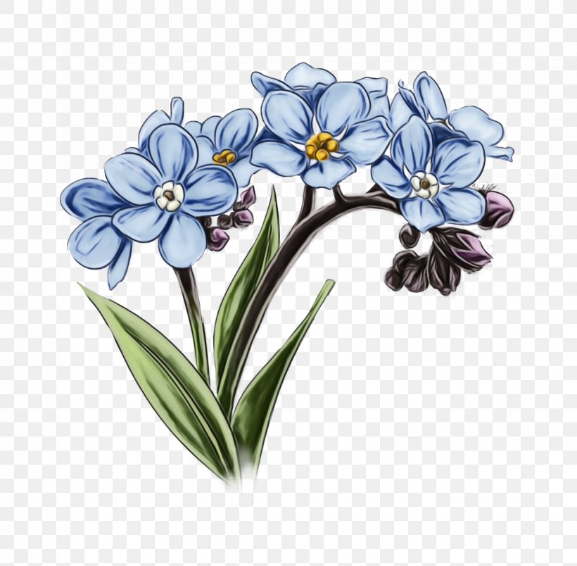 Flowers Background, PNG, 1234x1210px, Floral Design, Alpine Forgetmenot, Borage Family, Cut Flowers, Family Download Free