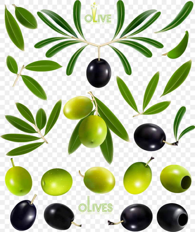 Olive Oil Olive Leaf, PNG, 1043x1239px, Olive, Black And White, Branch, Food, Fruit Download Free