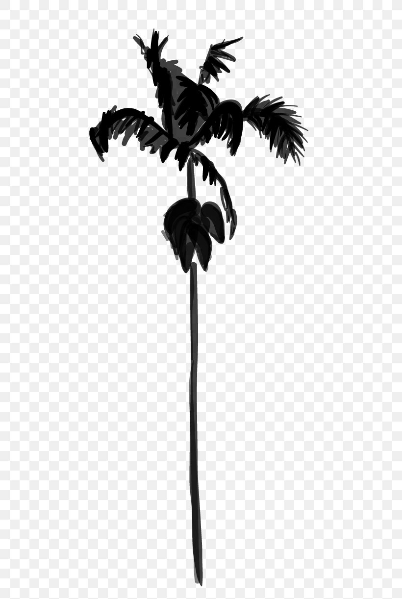 Palm Trees Black & White, PNG, 500x1222px, Palm Trees, Arecales, Black White M, Blackandwhite, Botany Download Free