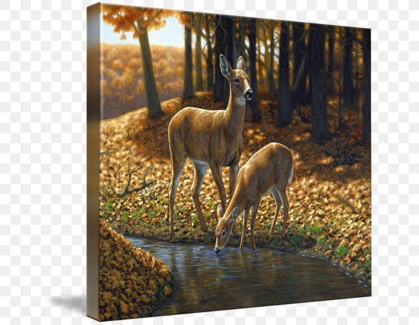 Red Deer Oil Painting White-tailed Deer, PNG, 650x636px, Deer, Antler, Art, Artist, Drawing Download Free