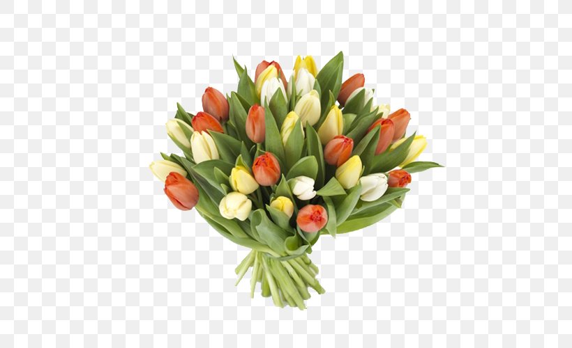 Tulip Flower Bouquet Cut Flowers Floral Design, PNG, 500x500px, Tulip, Birthday, Cut Flowers, Floral Design, Florist Download Free