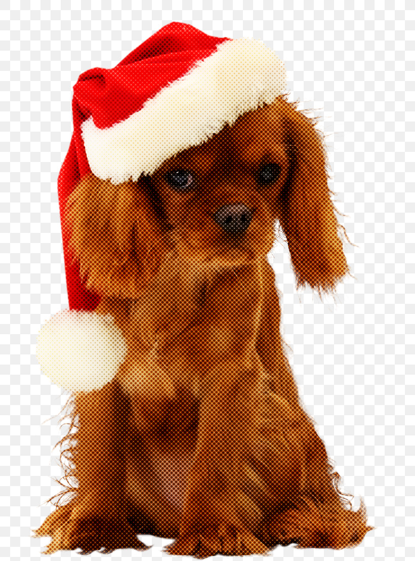 Christmas Ornaments Christmas Decoration Christmas, PNG, 714x1108px, Christmas Ornaments, Cavalier King Charles Spaniel, Christmas, Christmas Decoration, Cocker Spaniel Download Free