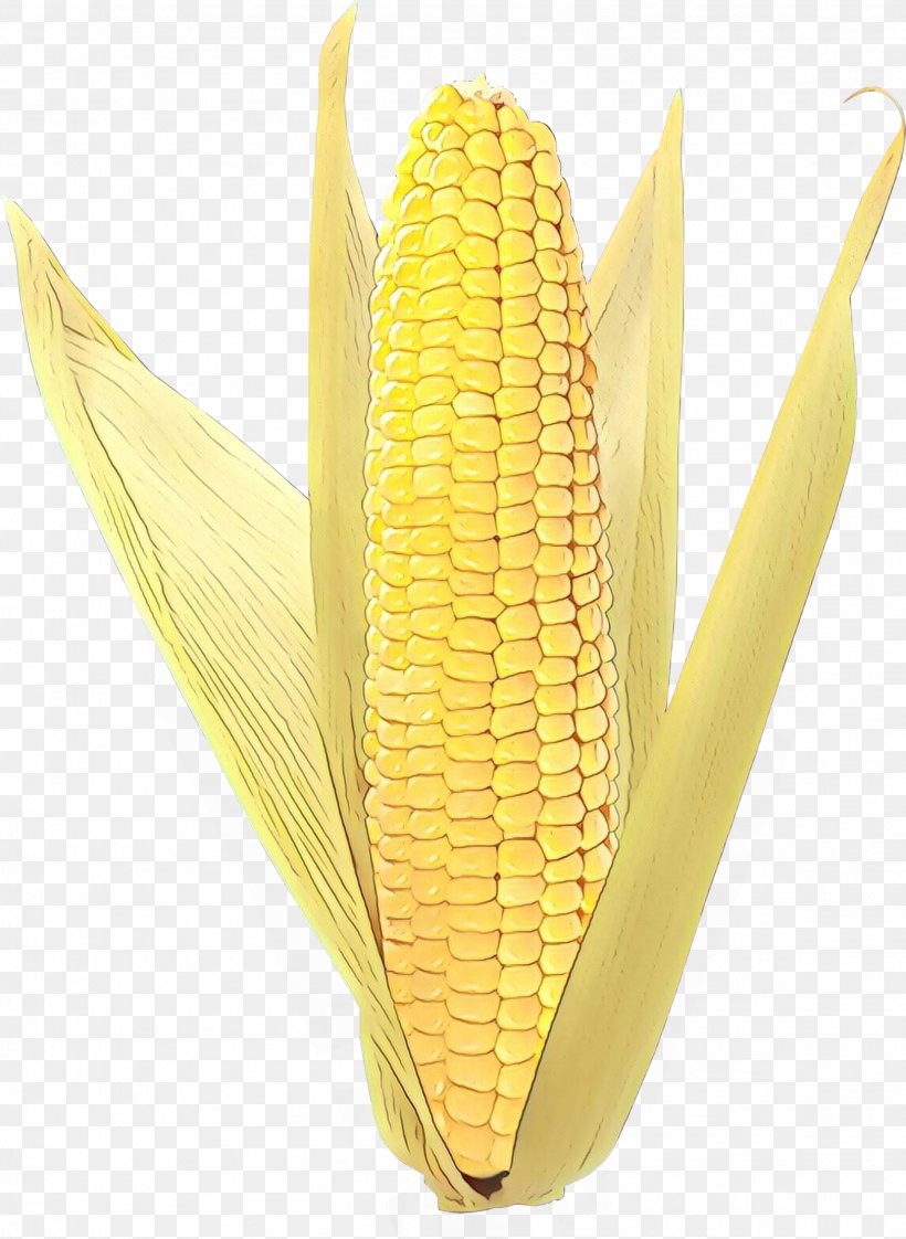 Corn On The Cob Product Design, PNG, 2313x3167px, Corn On The Cob, Corn, Corn Kernels, Cuisine, Food Grain Download Free