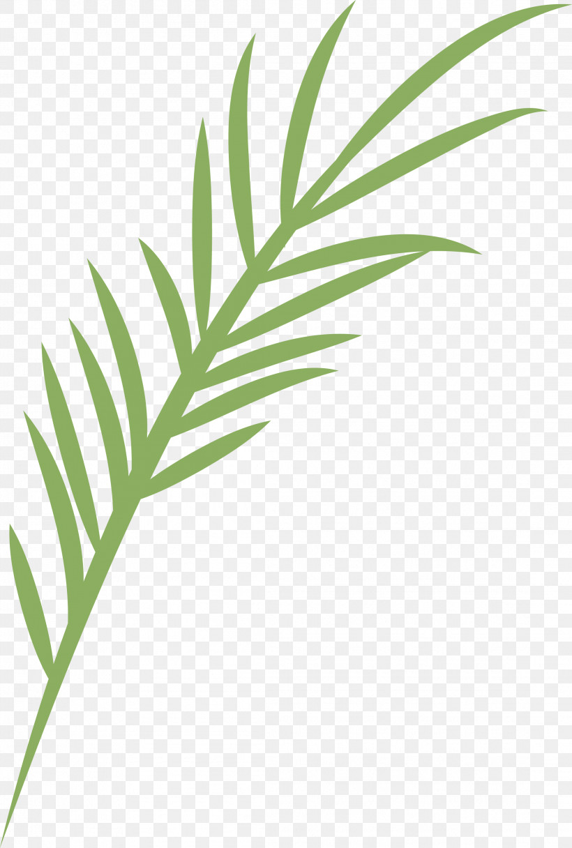 Spanish Food Spanish Cuisine, PNG, 2213x3282px, Spanish Food, Biology, Grasses, Leaf, Line Download Free