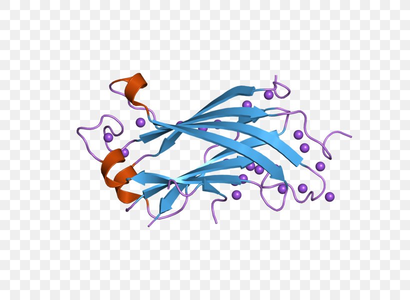 USP7 Ubiquitin P53 RELA Protease, PNG, 800x600px, Ubiquitin, Art, Computer, Crystal Structure, Hydrolase Download Free