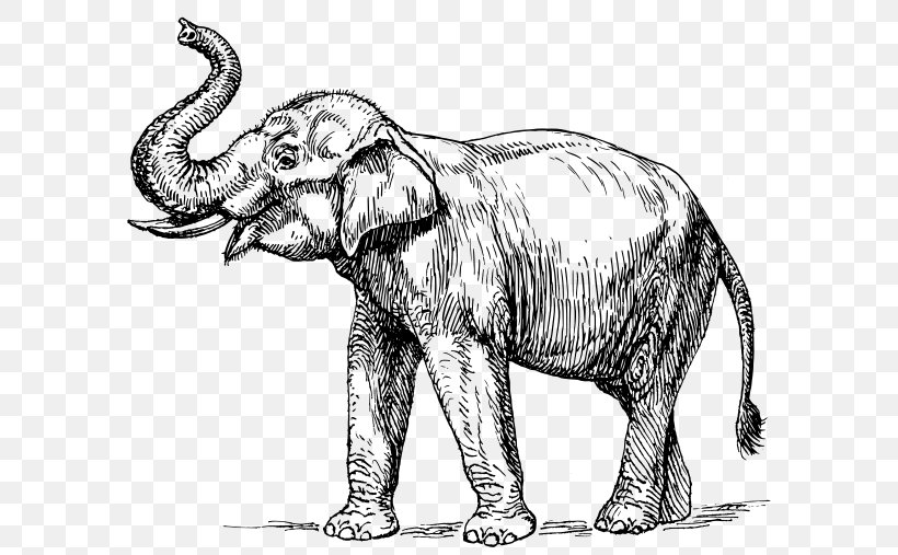 Vector Graphics Line Art Elephant Clip Art Illustration, PNG, 600x507px, Line Art, African Elephant, Animal Figure, Art, Drawing Download Free