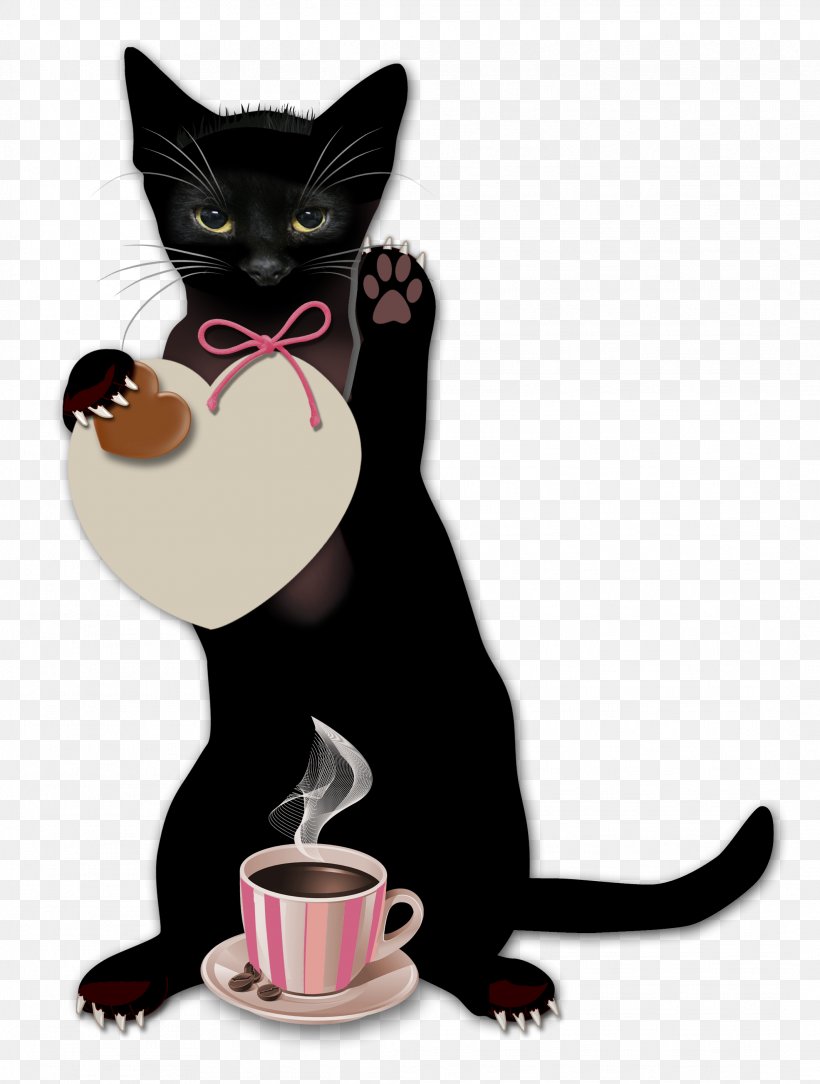 Coffee Cafe Blingee, PNG, 2129x2815px, Coffee, Black Cat, Blingee, Cafe, Carnivoran Download Free