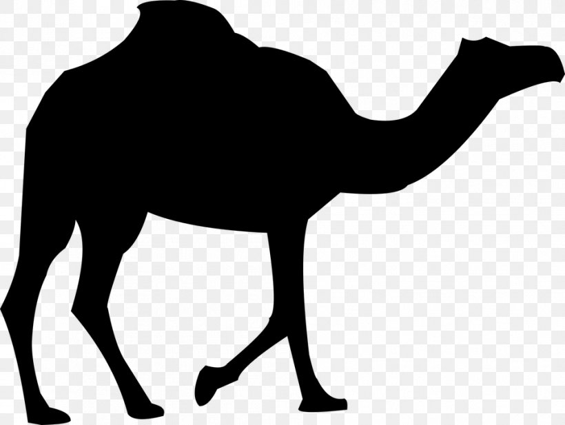 Dromedary Bactrian Camel Royalty-free Clip Art, PNG, 956x720px, Dromedary, Arabian Camel, Bactrian Camel, Black And White, Camel Download Free