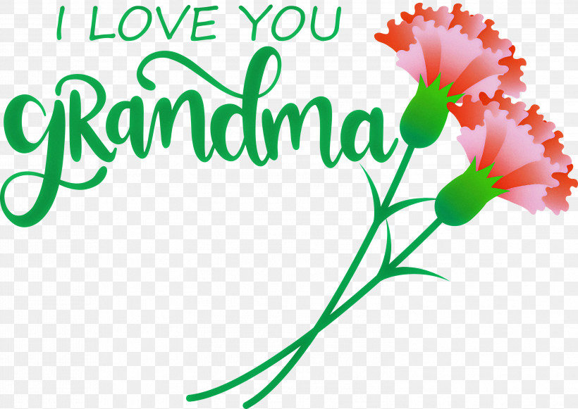 Grandmothers Day Grandma Grandma Day, PNG, 2999x2125px, Grandmothers Day, Cut Flowers, Floral Design, Flower, Grandma Download Free