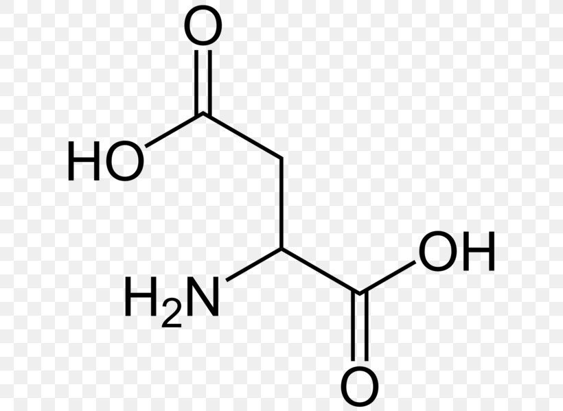 Aspartic Acid Branched-chain Amino Acid Amine, PNG, 646x599px, Aspartic Acid, Acid, Amine, Amino Acid, Area Download Free