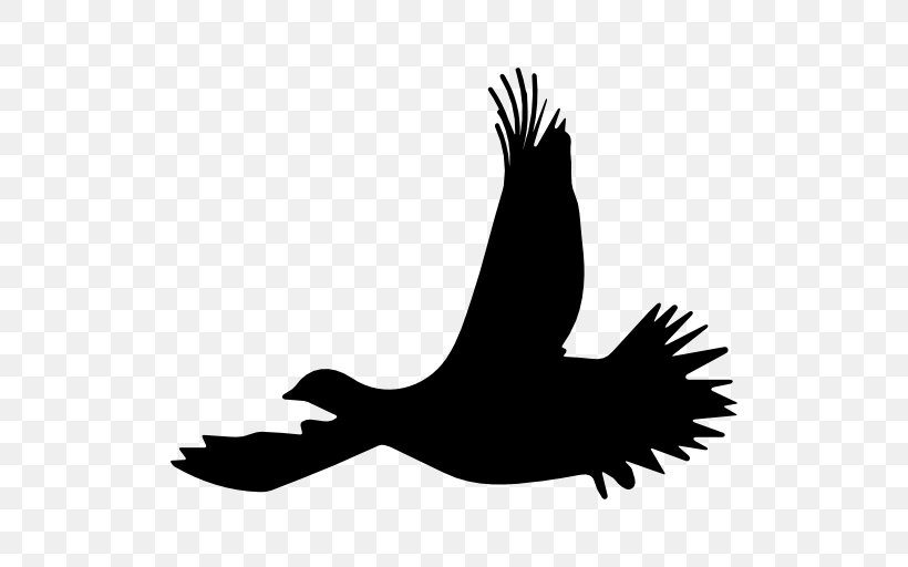 Bird Flight Silhouette Ruffed Grouse, PNG, 512x512px, Bird, Animal, Beak, Bird Flight, Bird Of Prey Download Free