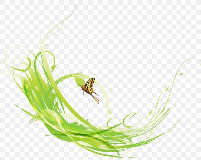 Butterfly Green Computer File, PNG, 867x690px, Butterfly, Bird, Computer Graphics, Grass, Grass Family Download Free