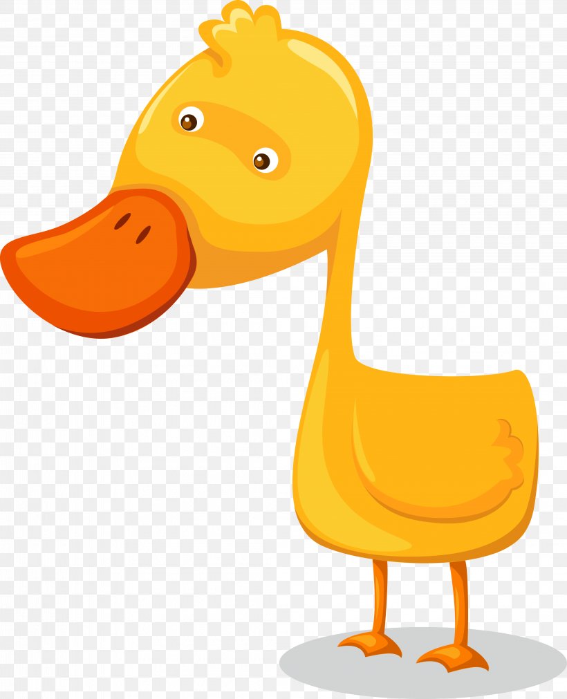 Duck Anser Clip Art, PNG, 4233x5219px, Duck, Anser, Beak, Bird, Cdr Download Free