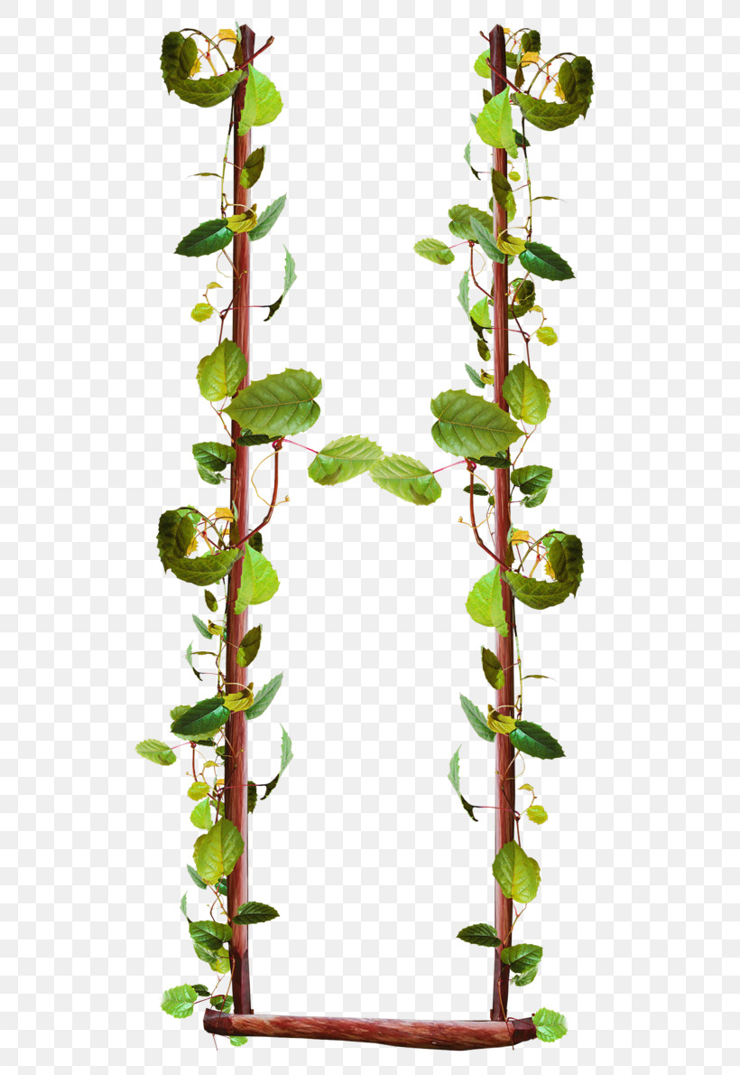 Flower Plant Plant Stem Leaf Twig, PNG, 554x1190px, Flower, Branch, Leaf, Plant, Plant Stem Download Free