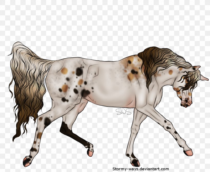 Mustang Stallion Pony Cat Fauna, PNG, 987x810px, Mustang, Cat, Cat Like Mammal, Fauna, Fictional Character Download Free