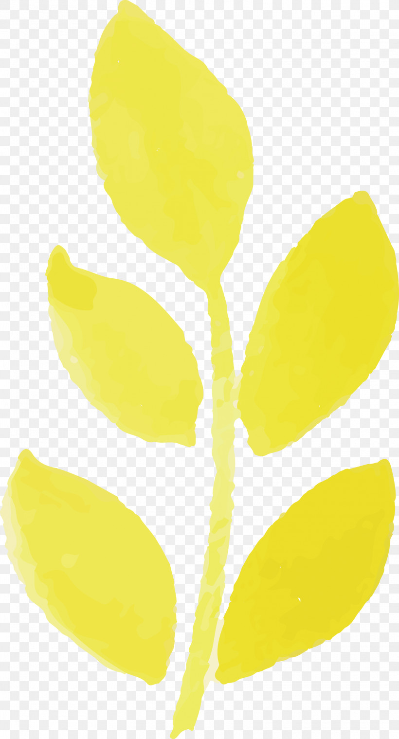 Plant Stem Leaf Yellow Commodity Fruit, PNG, 1619x3000px, Watercolor Autumn, Biology, Commodity, Fruit, Leaf Download Free