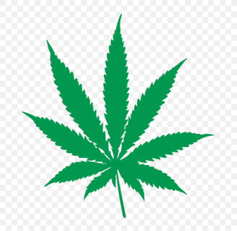 Cannabis Ruderalis Vector Graphics Clip Art Cannabis Sativa, PNG ...
