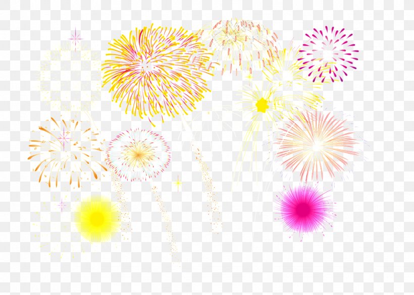 Fireworks Design Chinese New Year Download, PNG, 1024x731px, Fireworks, Chinese New Year, Chrysanths, Dahlia, Daisy Family Download Free