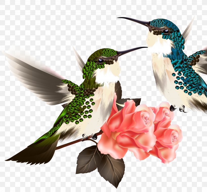 Hummingbird Drawing Illustration, PNG, 3592x3333px, Hummingbird, Beak, Bird, Couple, Drawing Download Free